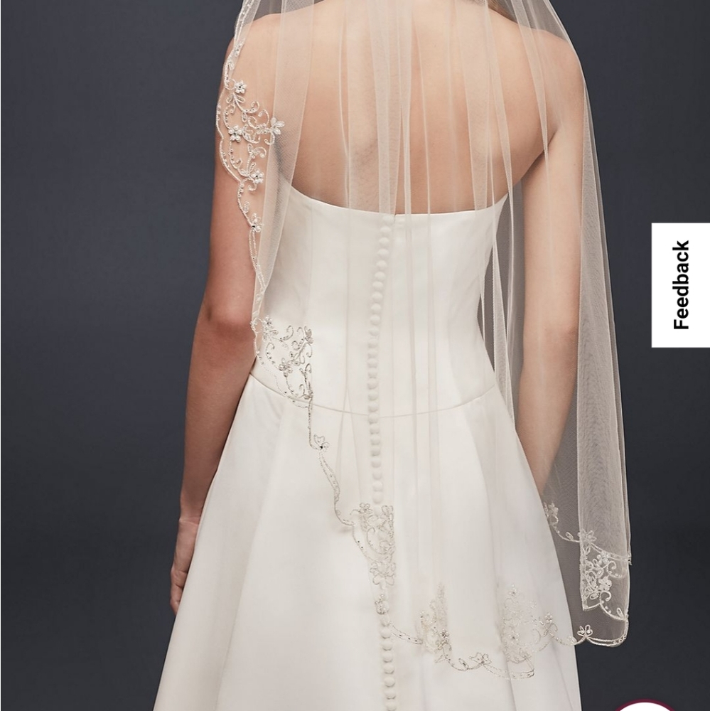 David's Bridal Veil